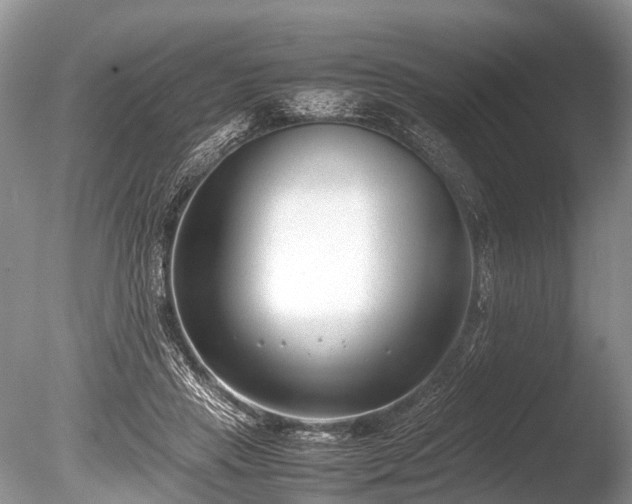 X0000086040453200703301044