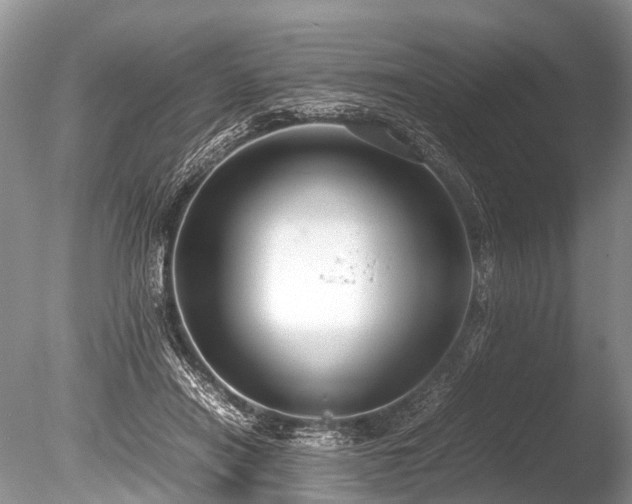 X0000086040454200703301044