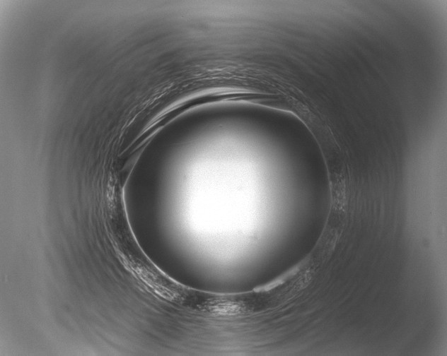 X0000086040456200703301044