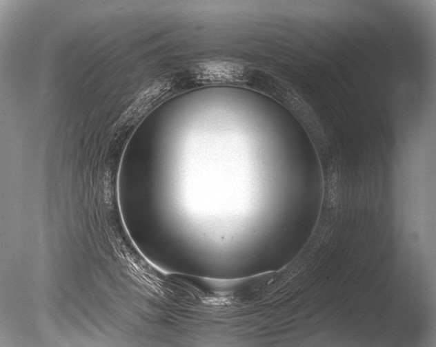X0000086040457200703301044