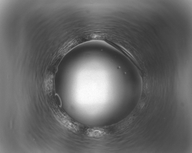 X0000086040475200703301044