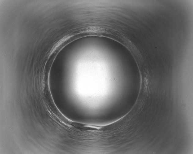 X0000086040484200703301043