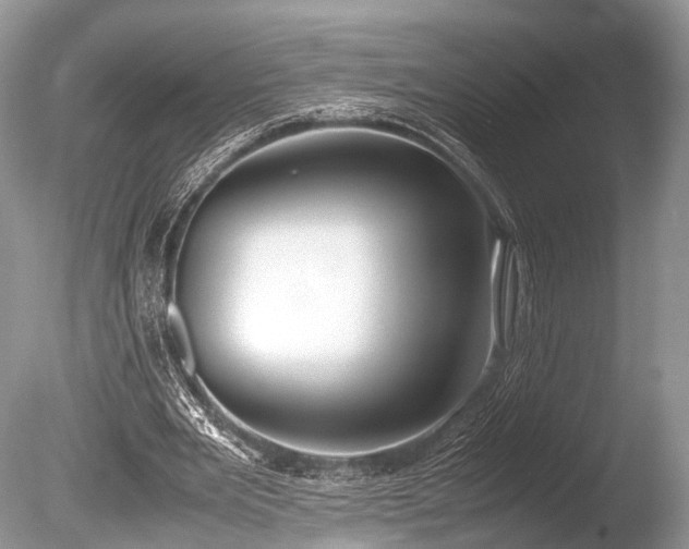 X0000086040485200703301043