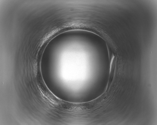 X0000086040488200703301043