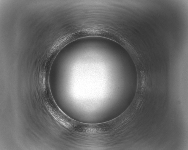 X0000086040494200703301043