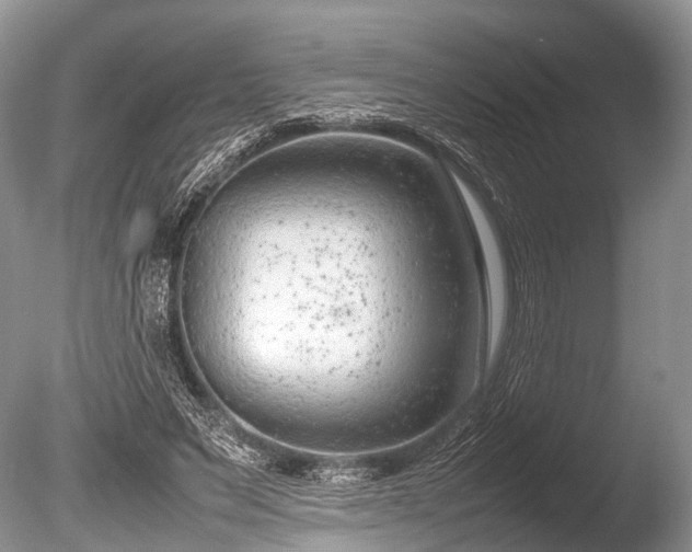 X0000086040495200703301043
