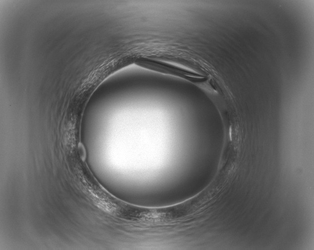 X0000086040497200703301043