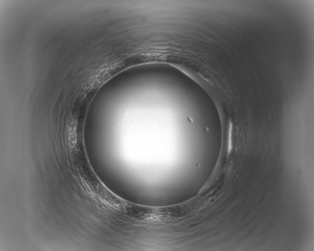 X0000086040504200703301043
