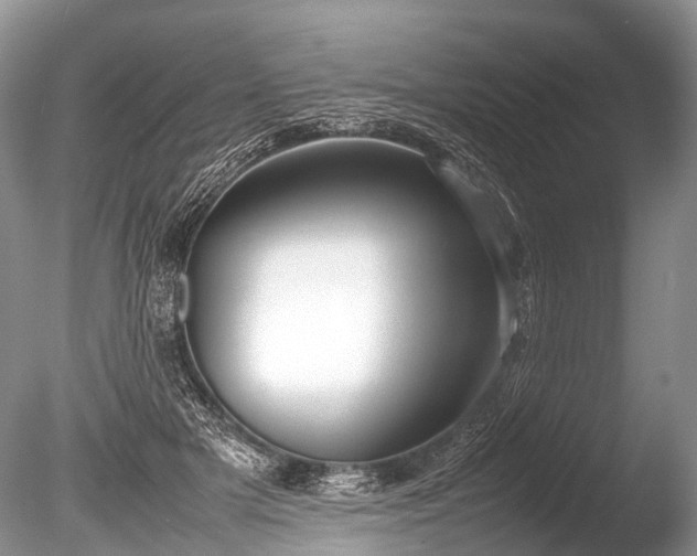 X0000086040505200703301043