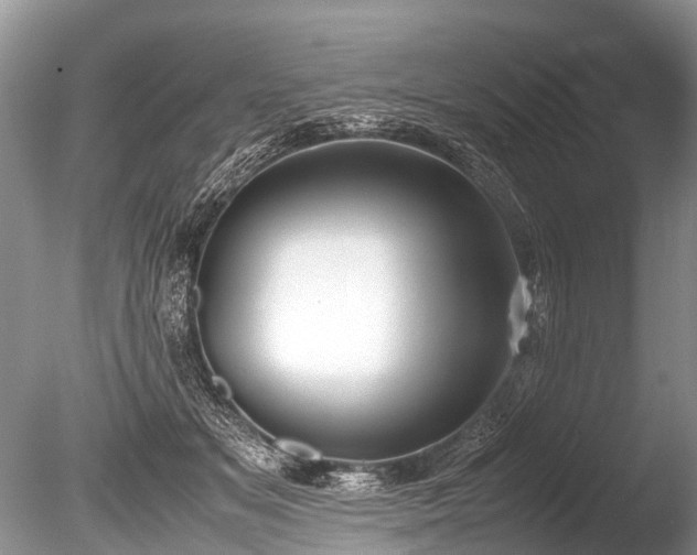 X0000086040509200703301043