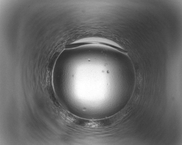 X0000086040511200703301043