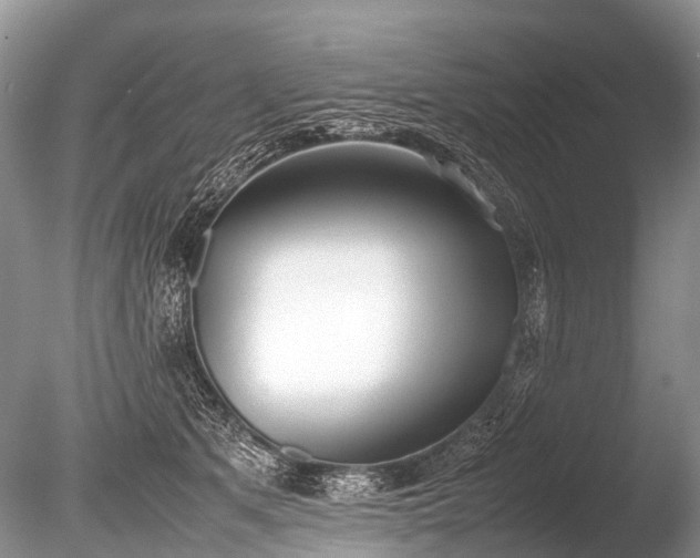X0000086040513200703301043