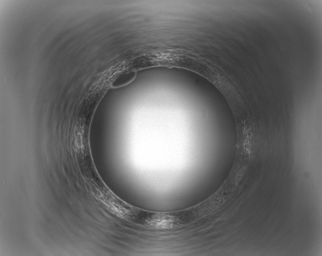 X0000086040514200703301043
