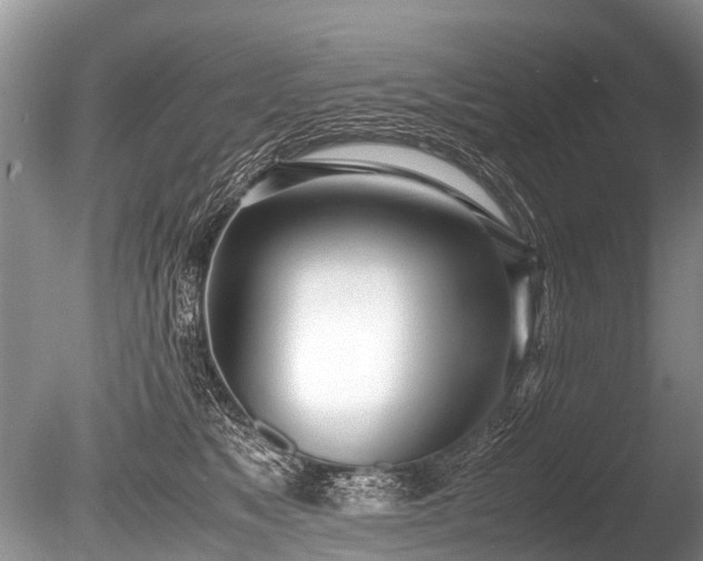 X0000086040517200703301043