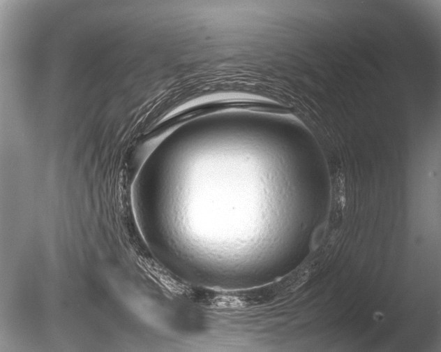 X0000086040519200703301043