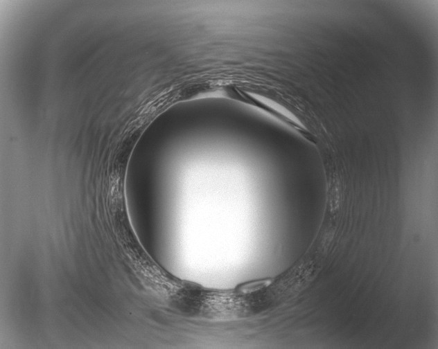 X0000086040521200703301043