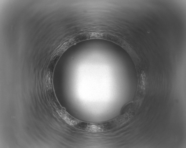 X0000086040522200703301043