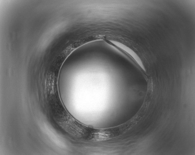 X0000086040525200703301043