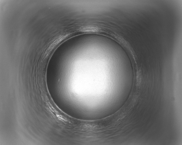 X0000086040529200703301042
