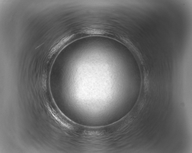 X0000086040533200703301042