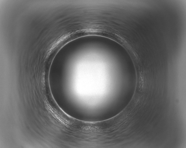 X0000086040535200703301042