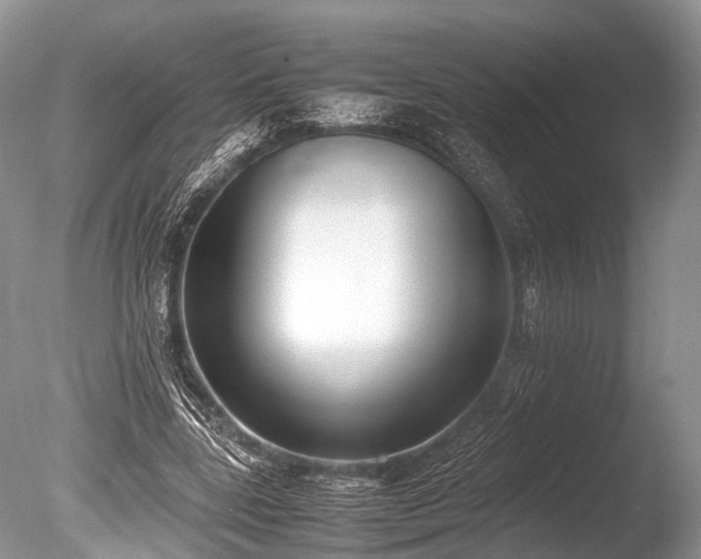 X0000086040539200703301042