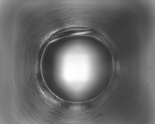 X0000086040540200703301042