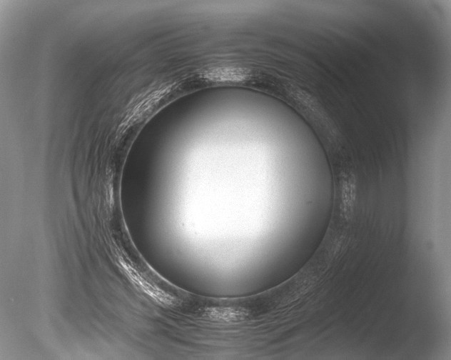 X0000086040541200703301042