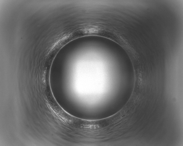 X0000086040543200703301042