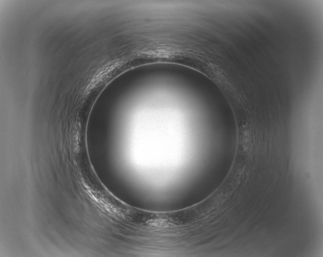 X0000086040544200703301042
