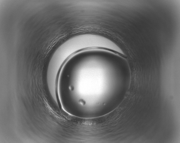 X0000086040546200703301042