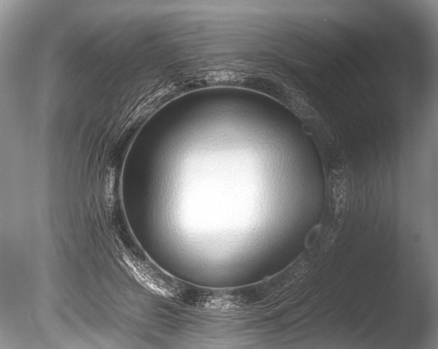 X0000086040550200703301042