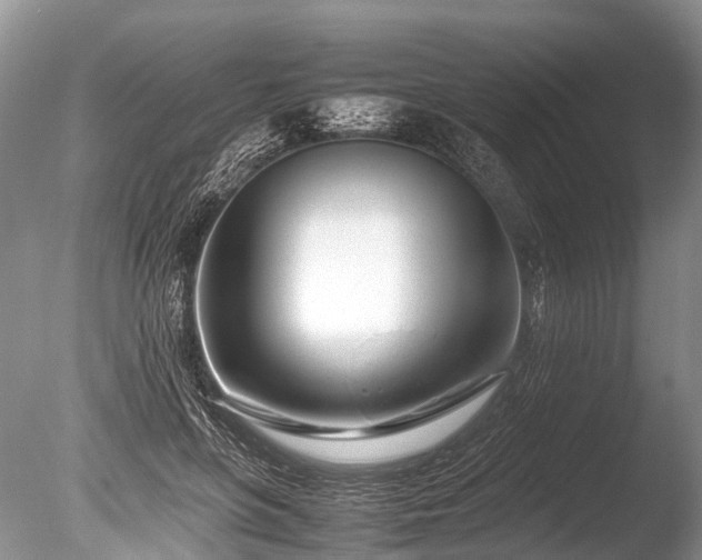 X0000086040551200703301042