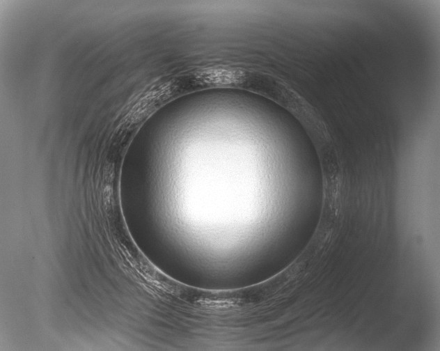 X0000086040553200703301042