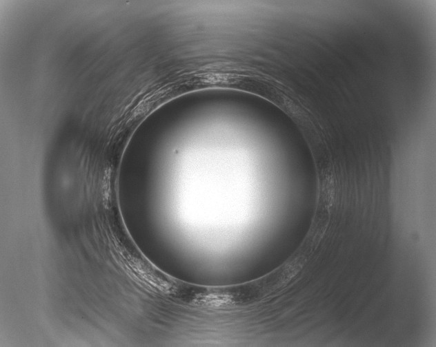 X0000086040554200703301042