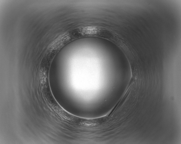 X0000086040555200703301042
