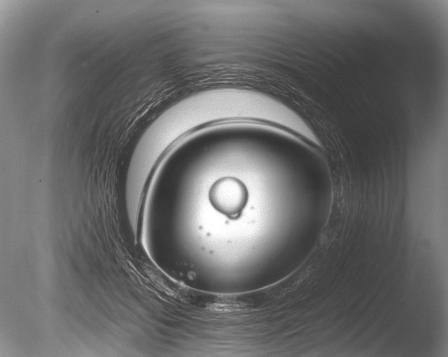 X0000086040556200703301042