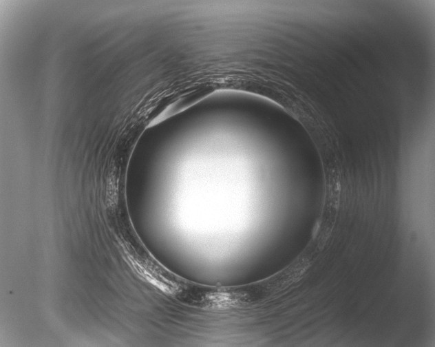 X0000086040558200703301042