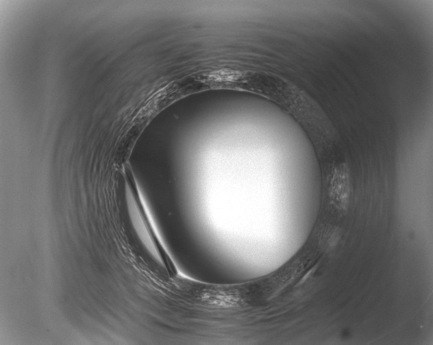 X0000086040559200703301042
