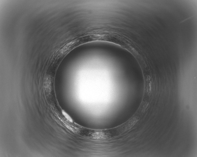 X0000086040562200703301042