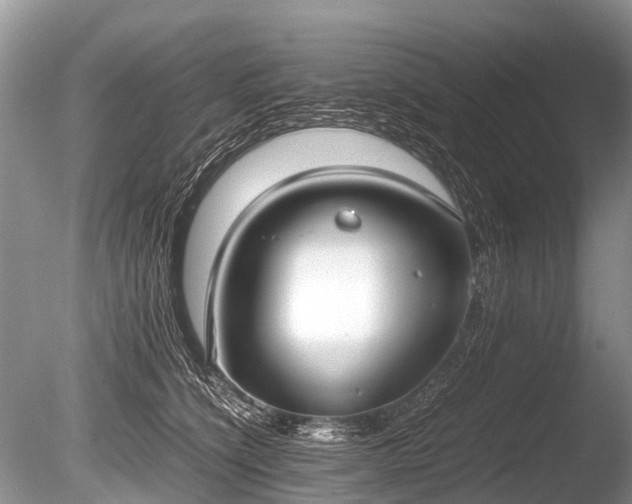 X0000086040564200703301042