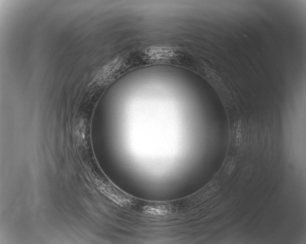 X0000086040567200703301042