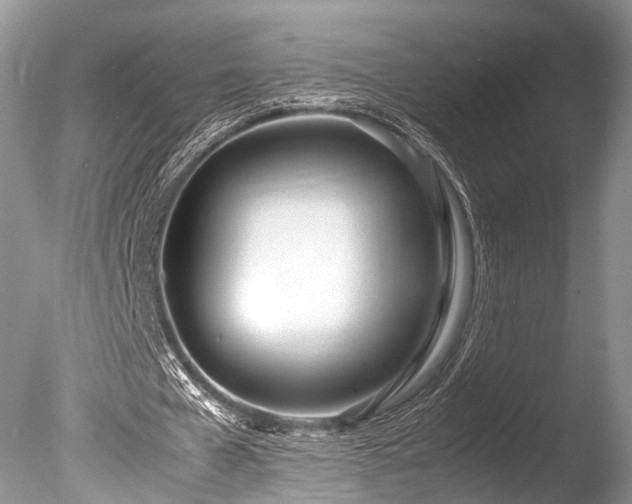 X0000086040577200703301042