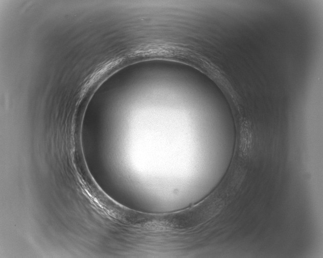 X0000086040578200703301042