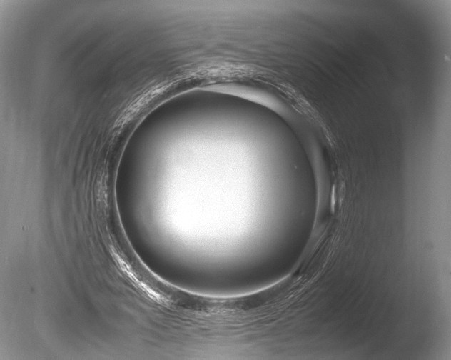 X0000086040581200703301042