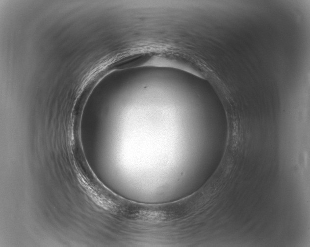 X0000086040582200703301042