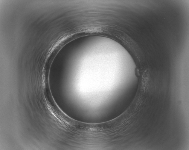 X0000086040584200703301042