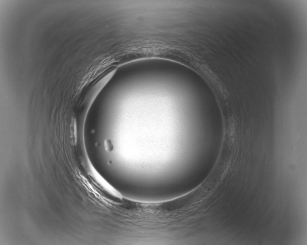 X0000086040585200703301042