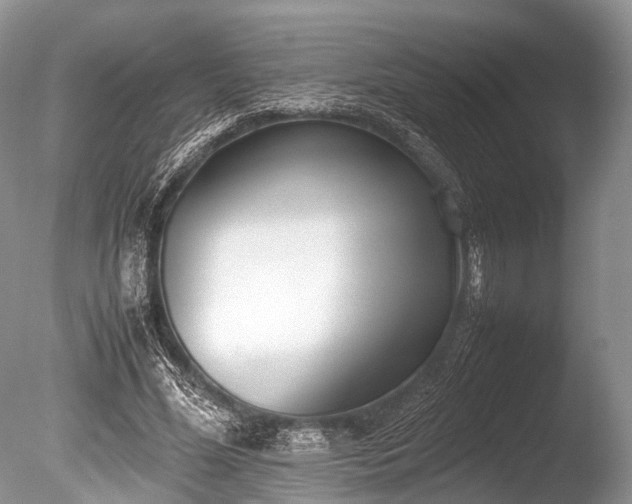 X0000086040588200703301041