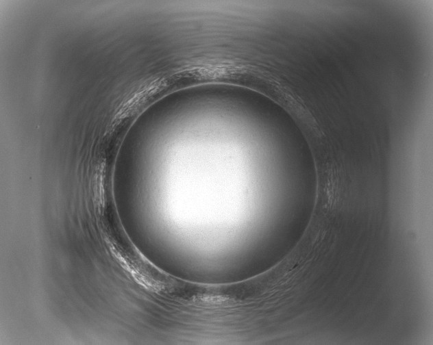 X0000086040590200703301041